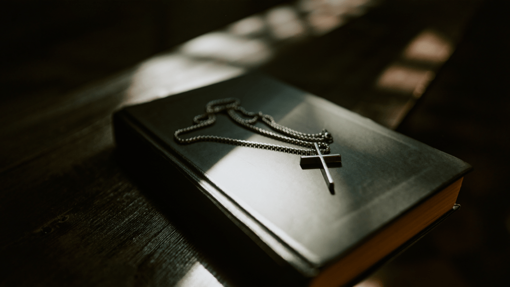 いよいよホームページが完全にリニューアルしました！